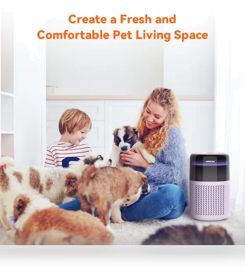 Air Purifier — Activated Carbon Air Purifiers, AIRROMI