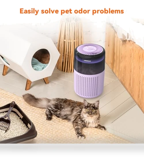 Air Purifier — Activated Carbon Air Purifiers, AIRROMI