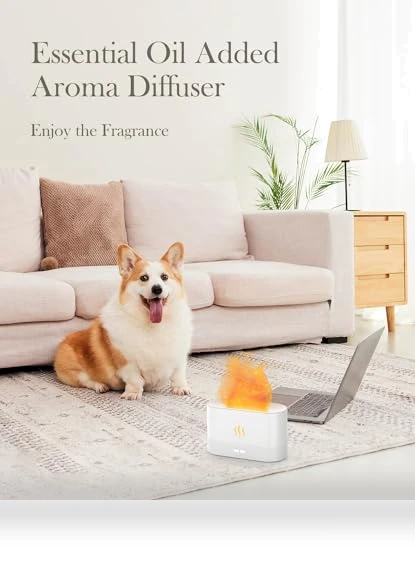 Flame Air Diffuser Humidifier — Diffusers, Aegci