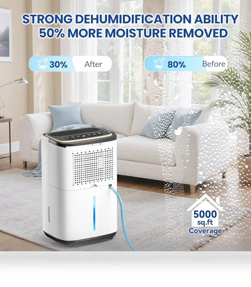 Large Capacity Dehumidifier — Air Moisture Control, Tehanld