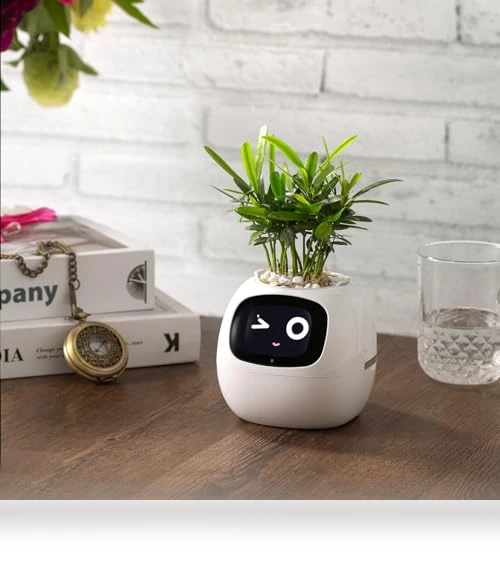 Smart Pet Planter Robot — Plants & Greenery, PLANTSIO