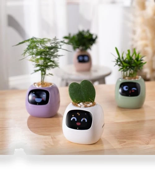 Smart Pet Planter Robot — Plants & Greenery, PLANTSIO