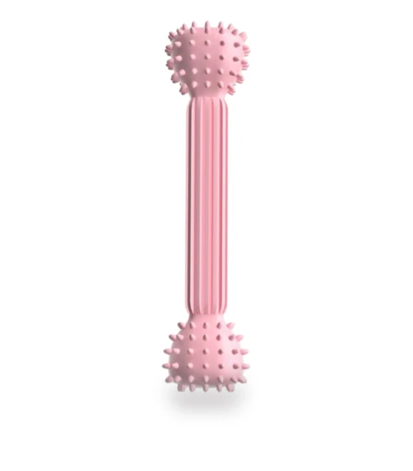 Teething Stick Dog Toy — Toys