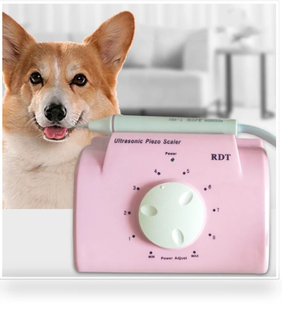 Ultrasonic Cleaning Machine for Pet Dogs — Ultrasonic Cleaners
