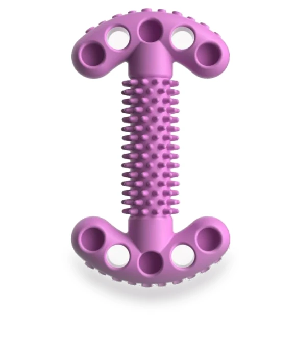 Chewing Teeth Cleaning Toy — Toys