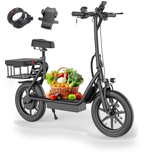 Electric Scooter — Electric Vehicles, WERHY