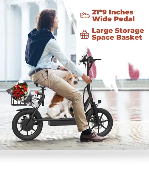 Electric Scooter — Electric Vehicles, WERHY