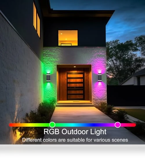 Smart LED Outdoor Wall Sconce — LED, WISELUME