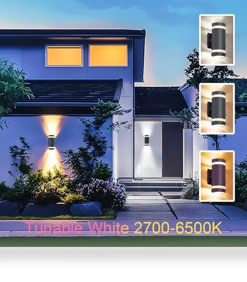 Smart LED Outdoor Wall Sconce — LED, WISELUME