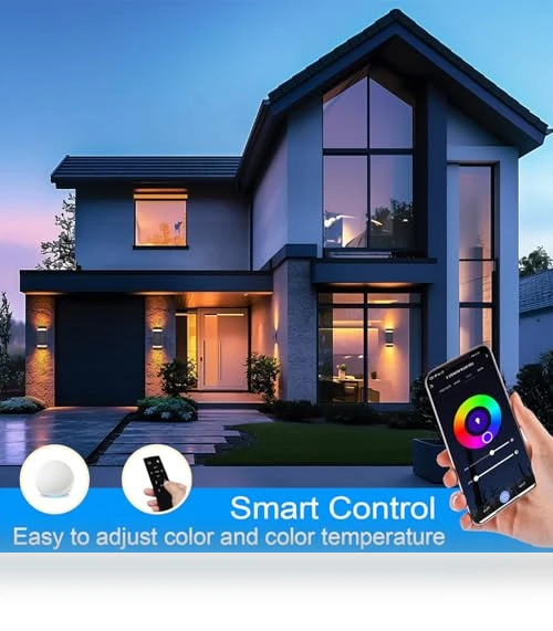 Smart LED Outdoor Wall Sconce — LED, WISELUME