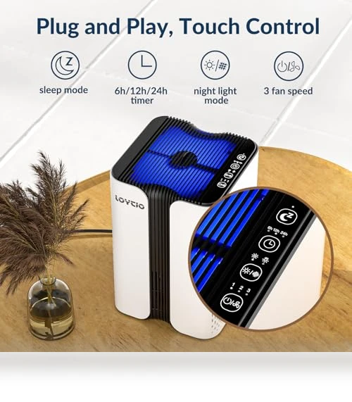 HEPA Air Purifier with Night Light and Aromatherapy — Activated Carbon Air Purifiers, Loytio
