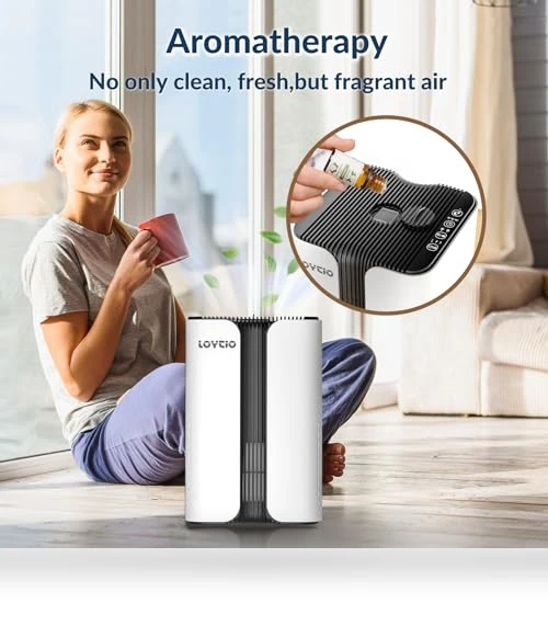 HEPA Air Purifier with Night Light and Aromatherapy — Activated Carbon Air Purifiers, Loytio