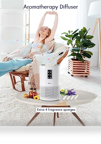 True HEPA Air Purifier for Large Rooms — Activated Carbon Air Purifiers, VEWIOR