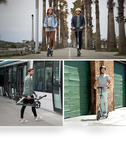 Foldable Kick Scooter with Big Wheels — Push Scooters, WAYPLUS