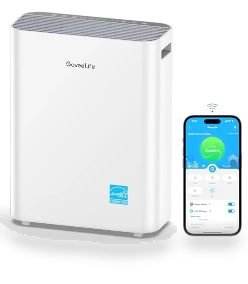 Smart Air Purifier — Activated Carbon Air Purifiers, GoveeLife