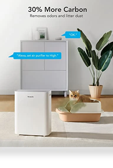 Smart Air Purifier — Activated Carbon Air Purifiers, GoveeLife