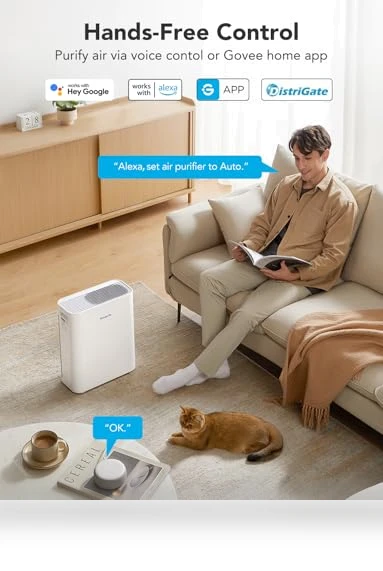 Smart Air Purifier — Activated Carbon Air Purifiers, GoveeLife
