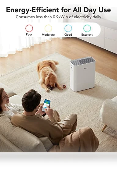 Smart Air Purifier — Activated Carbon Air Purifiers, GoveeLife