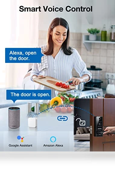 Smart Door Lock with Handle — Luggage Locks, GEONFINO