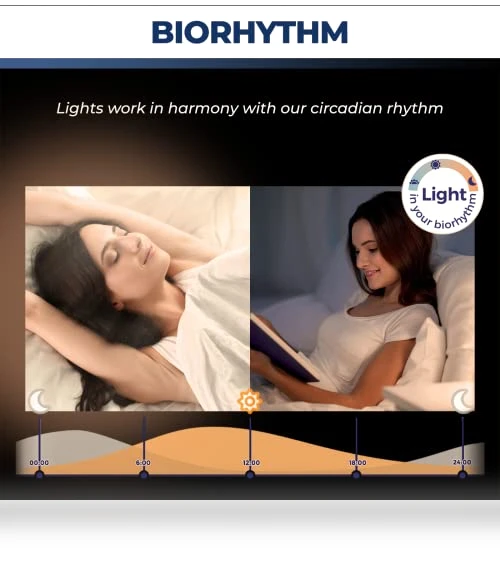 Smart Light Bulbs — LED, Lightinginside