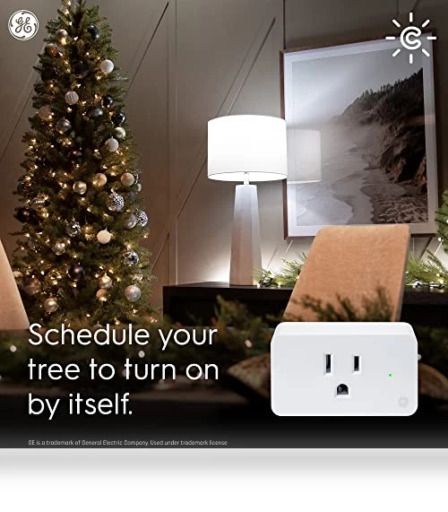 Smart Indoor Plug — Remote Controls, GE
