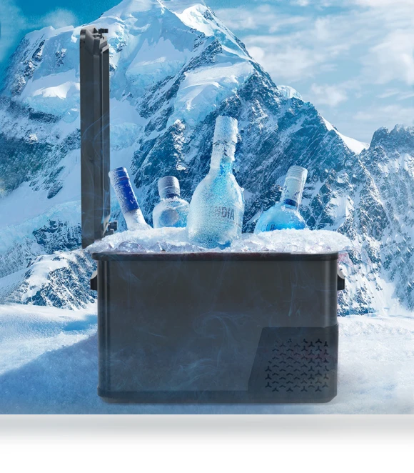 Universal Car Refrigerator with Compressor Cooling — Coolers & Fridges