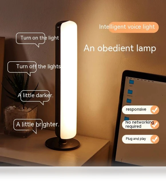 Voice Control Lamp — Standing Lights
