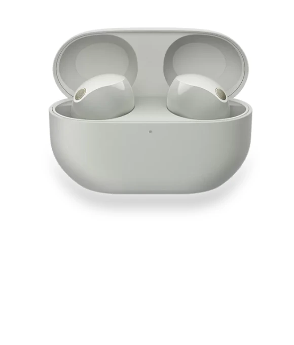 Noise-Canceling True Wireless In-Ear Headphones — Audio Gear, Sony