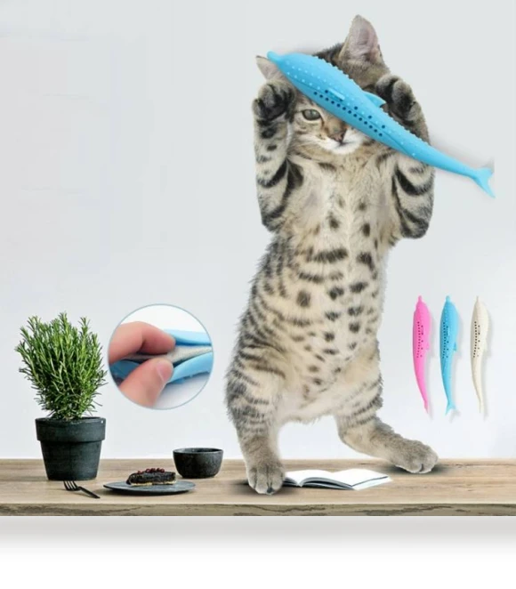 Catnip Cat Teeth Cleaning Silicone Dolphin Toy — Dental Care