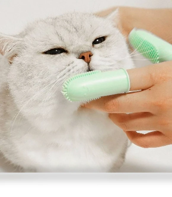 Double Finger Toothbrushes for Pet Teeth Cleaning — Toothbrushes