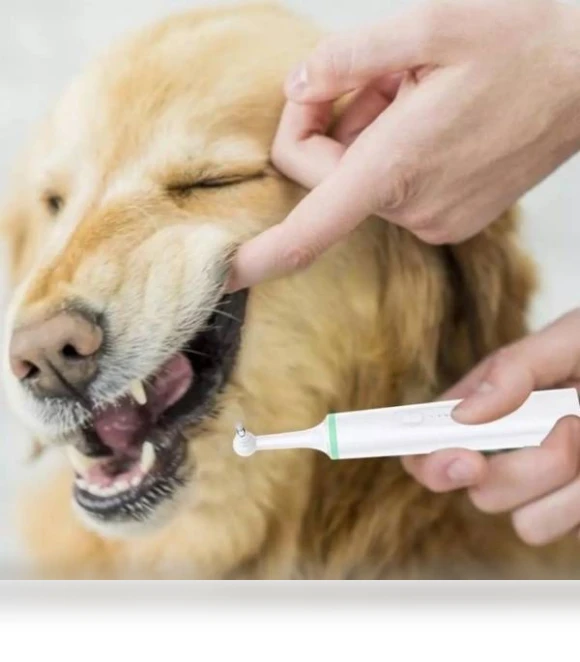 Electric Toothbrush for Pets — Electric Toothbrush Heads