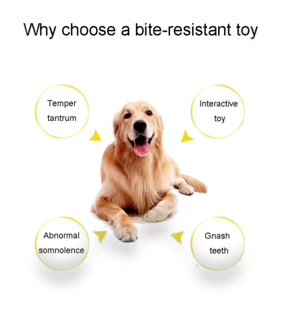 Knot Pet Bite Resistant Teeth Cleaning Toy — Ropes