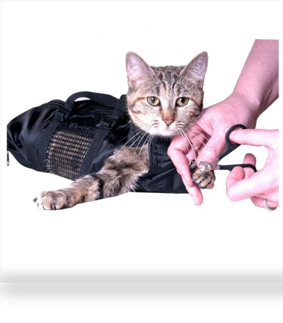 Pet Bath Kit — Bath Accessories