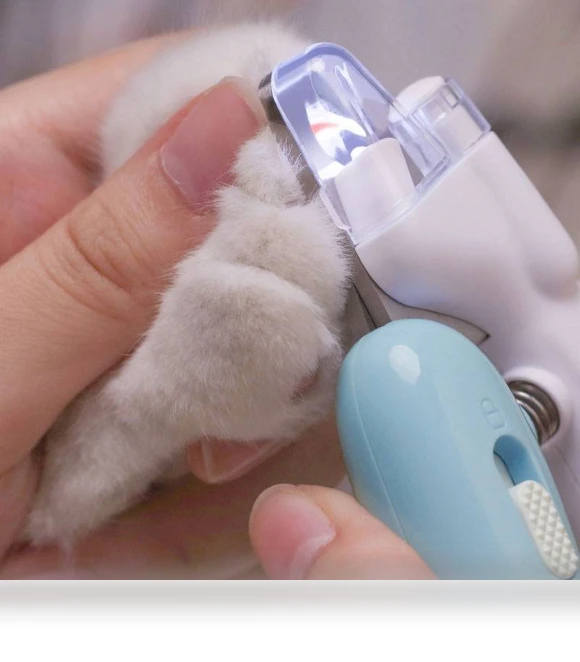 Pet Nail Clippers with LED Lighting — Claw Care