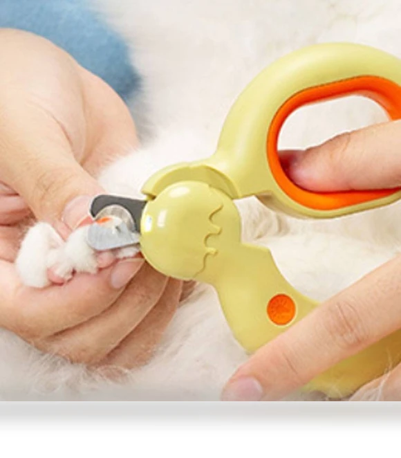 Pet Nail Clippers with LED Lighting — Claw Care