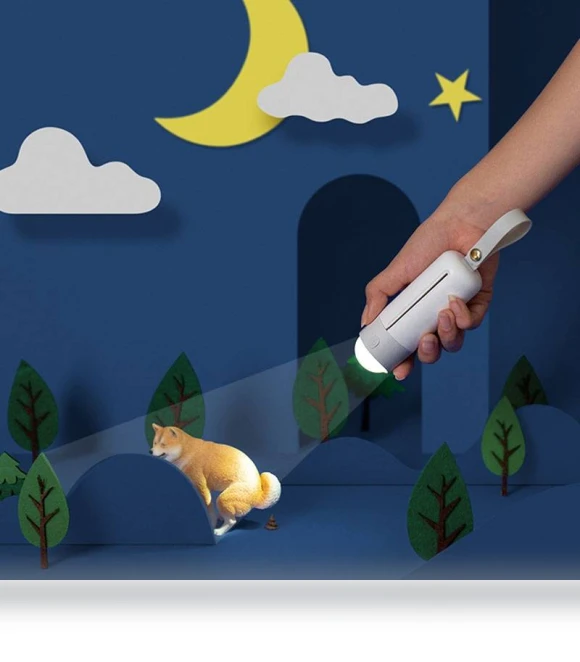 Portable Dog Toilet Bowl with LED Lighting — Purses