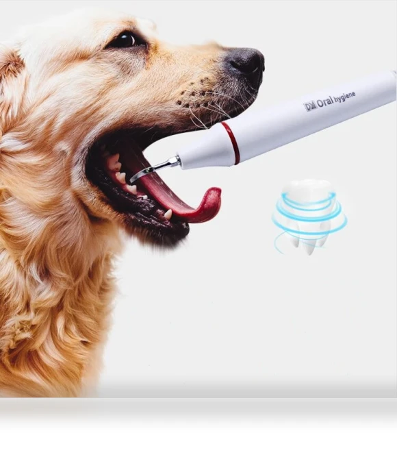 Ultrasonic Cleaning Machine for Pet Dogs — Ultrasonic Cleaners