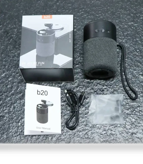 2 In 1 TWS Earphone Wireless Speaker with Earbuds — Portable Audio Solutions