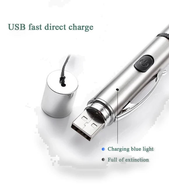 Rechargeable Projection Cat Flashlight — Flashlights