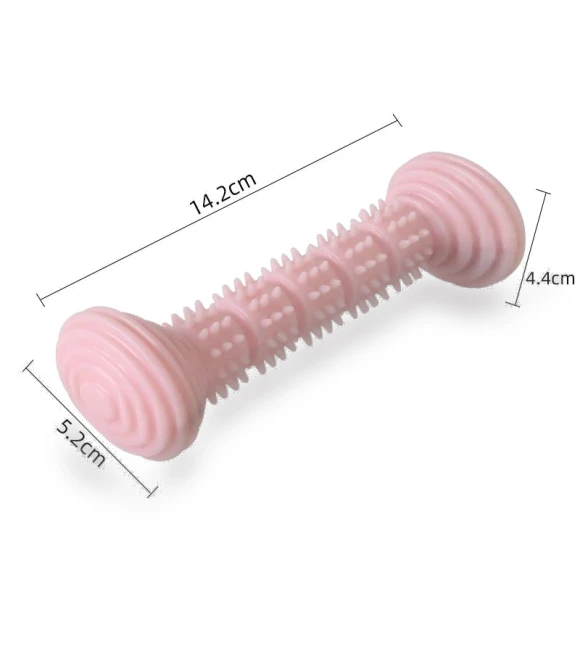 Teething Toy Chewing Dog Toothbrush Toy — Toys