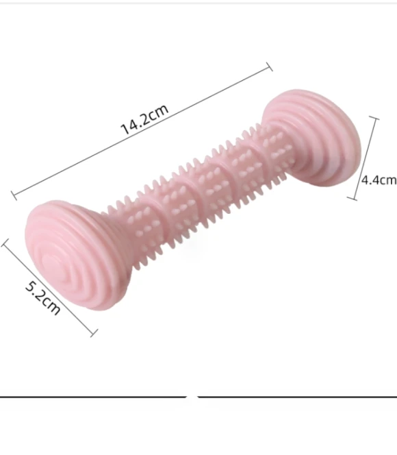 Teething Toys Chewing Gnawing Dog Toothbrush — Toothbrushes