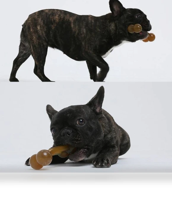 Dog Molar Stick Cleaning Bite Toy — Toys
