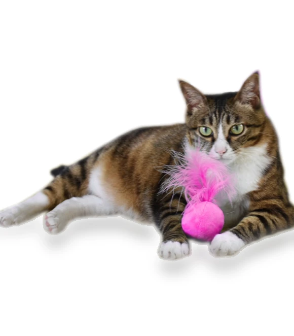Feathers Tease Cats Toys Plush Pet Cat Toys — Cat Playthings