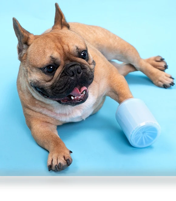 Pet Foot Clean Cup — Claw Care