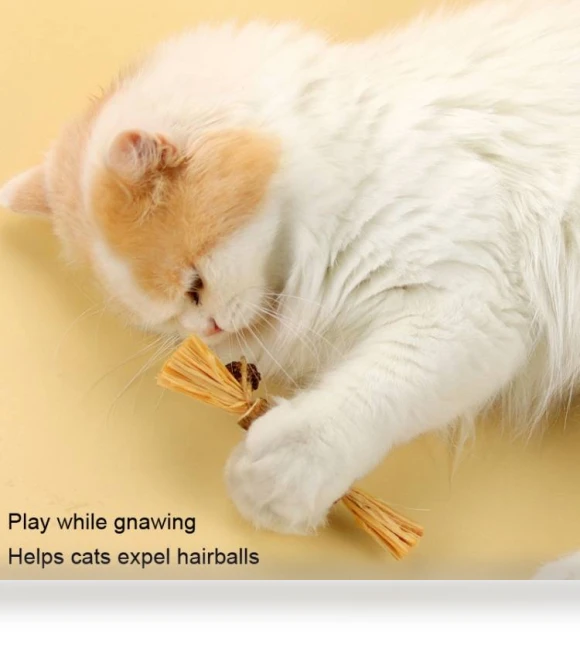 Teething Stick Toy for Cats — Cat Playthings