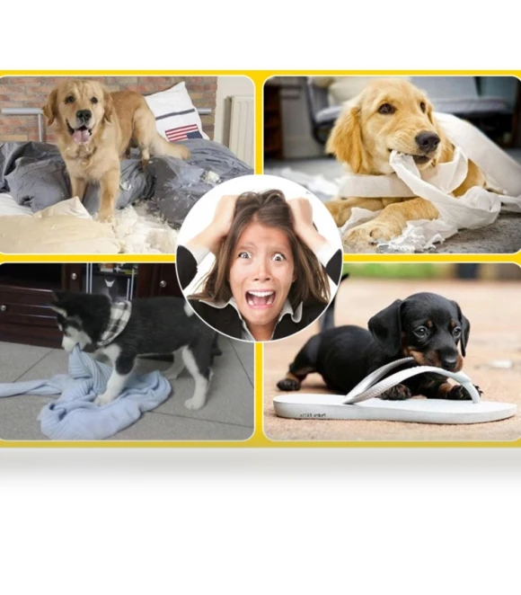 Tooth Cleaning Chewing Toy Balls for Pets — Toys