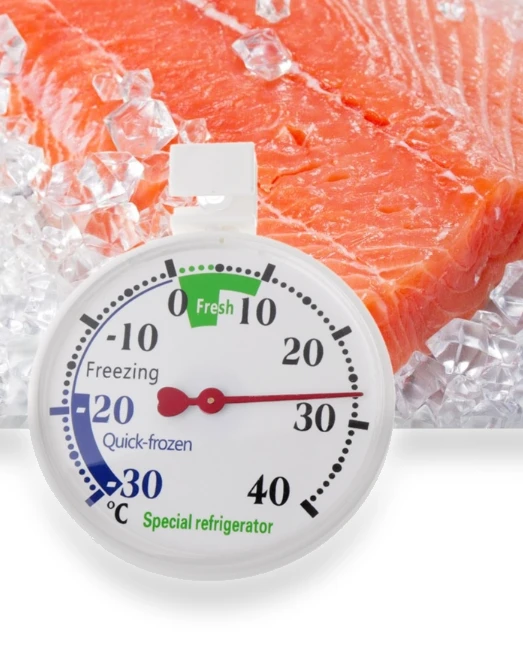 Hanging refrigerator freezer thermometer — Refrigerator