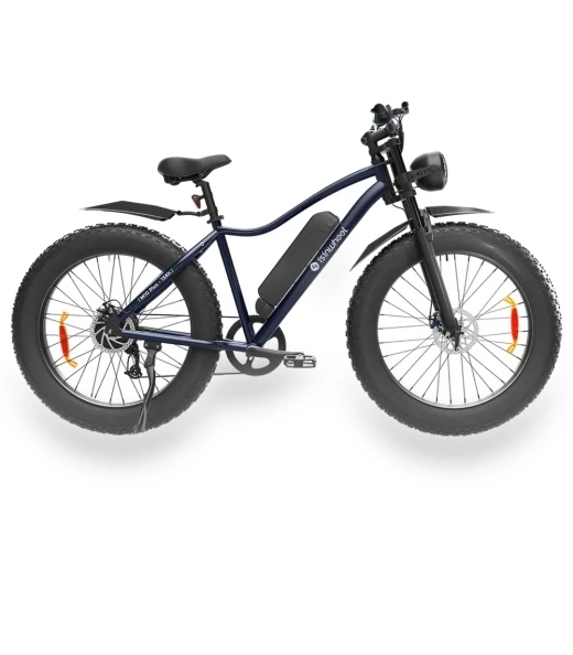 Electric Bike — Electric Vehicles, isinwheel