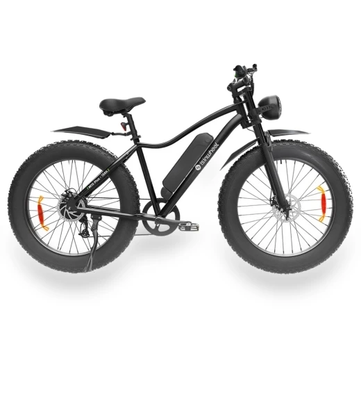 Electric Bike — Electric Vehicles, isinwheel