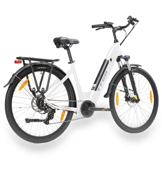 Electric Bike — Electric Self-Balancing Scooters, TTGO